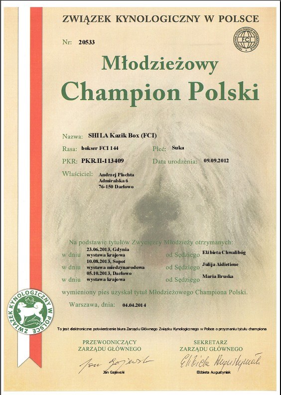 INFINITY - Młodzieżowy Champion Polski